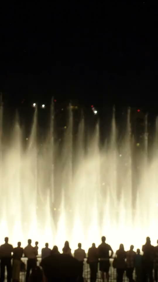 Audience silhouetted against the illuminated Dubai Fountain at night